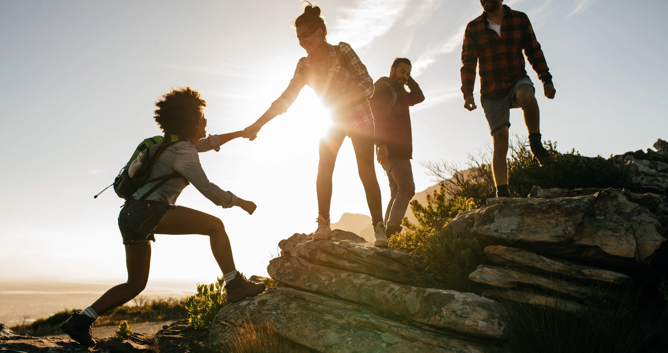 Management commercial