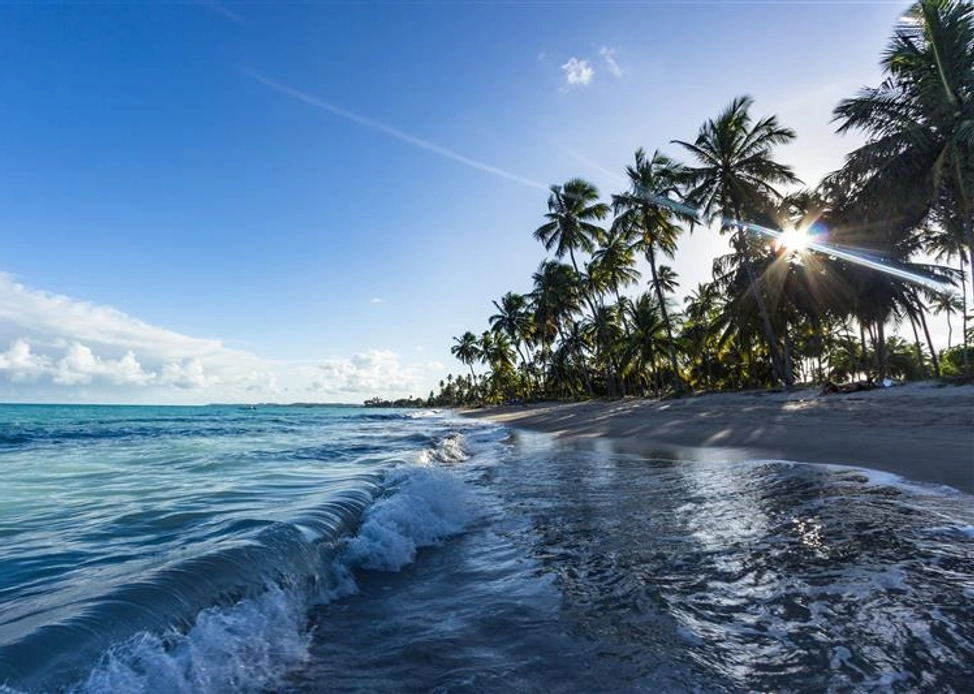 summer sales slowdown