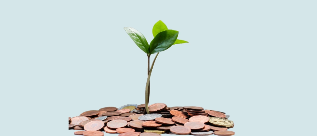 Financial Awareness Hero Banner