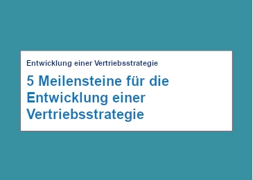 5-meilensteine-fuer-die-entwicklung-einer-vertriebs-strategie