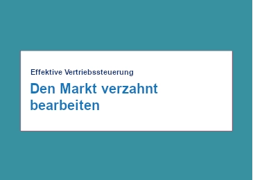 Mercuri Artikel - Effektive Vertriebssteuerung - Den Markt verzahnt bearbeiten