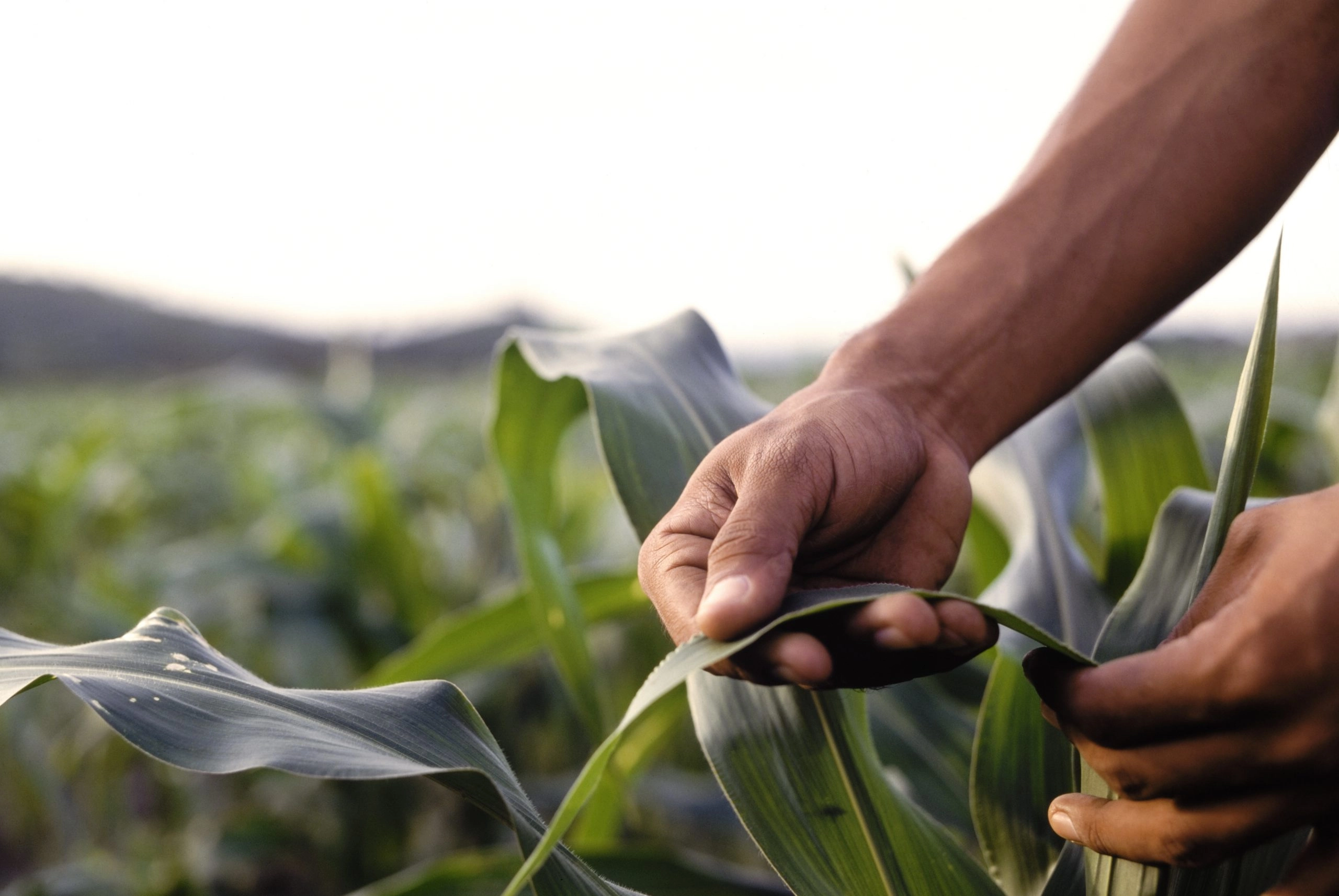 A customers from agricultural sector needs their virtual training sessions before the season