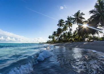 summer sales slowdown