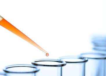 Industrial Sector Chemie