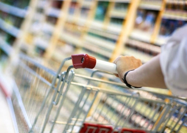 Industrial Sector Gebrauchs- und Konsumgüter